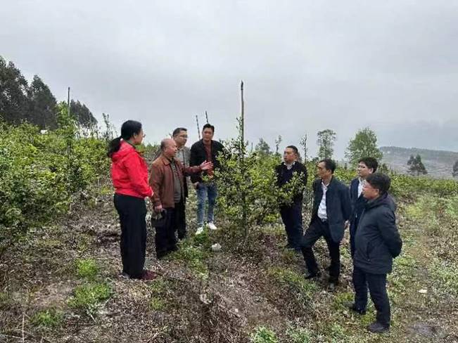 说明: 微信图片_20230320112251